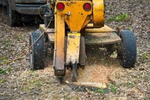 Commercial Stump Removal Harrogate