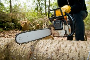 Commercial Stump Removal Harrogate