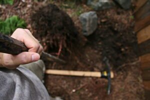 Garden Stump Clearance Harrogate