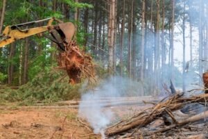 Garden Stump Clearance Harrogate