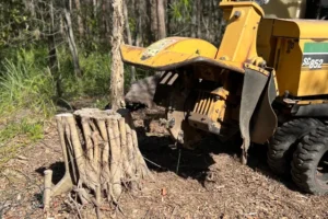 Garden Stump Removal Harrogate