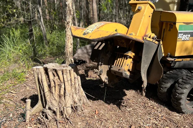 Garden Stump Removal Harrogate