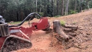 Garden Stump Removal Harrogate