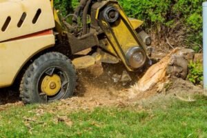 Large Stump Removal Harrogate