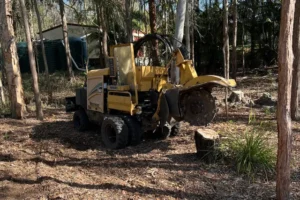 Multiple Stump Removal Harrogate