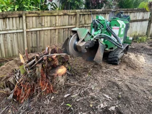 Multiple Stump Removal Harrogate