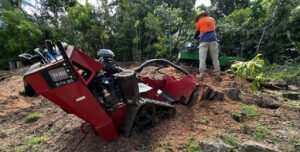 Multiple Stump Removal Harrogate