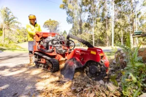 Multiple Stump Removal Harrogate