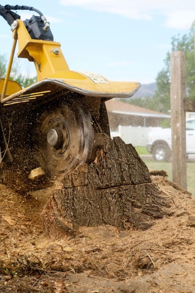 Tree Stump Removal Harrogate