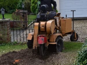 Tree Stump Grinding Harrogate