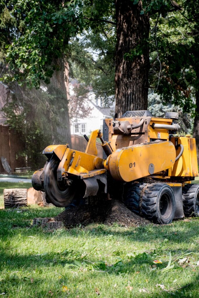 Tree Stump Removal Harrogate