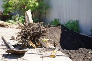 Tree Stump Removal Harrogate